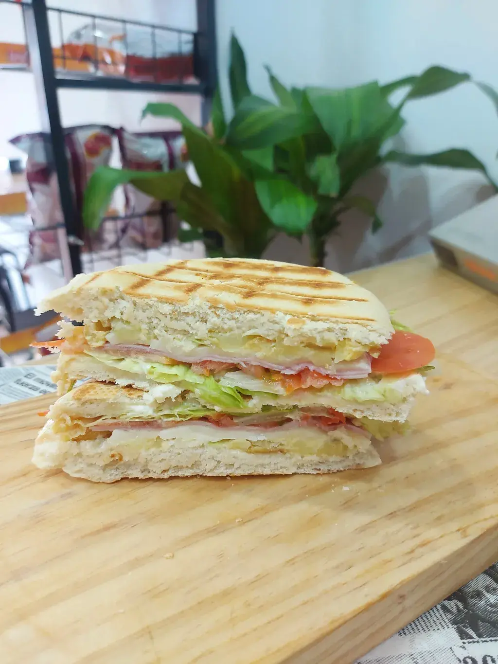 Campero clasico